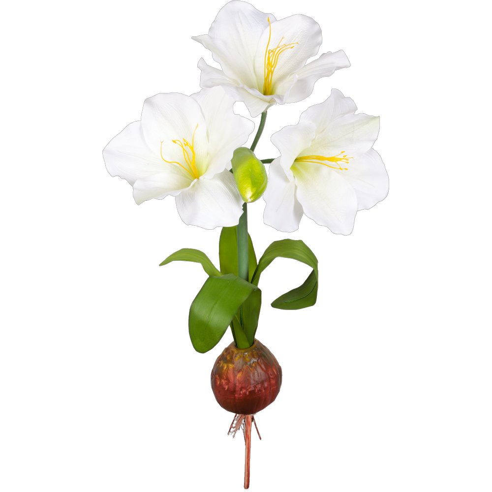 Amaryllis Pflanze XL weiß, Ø 50 x 108 cm