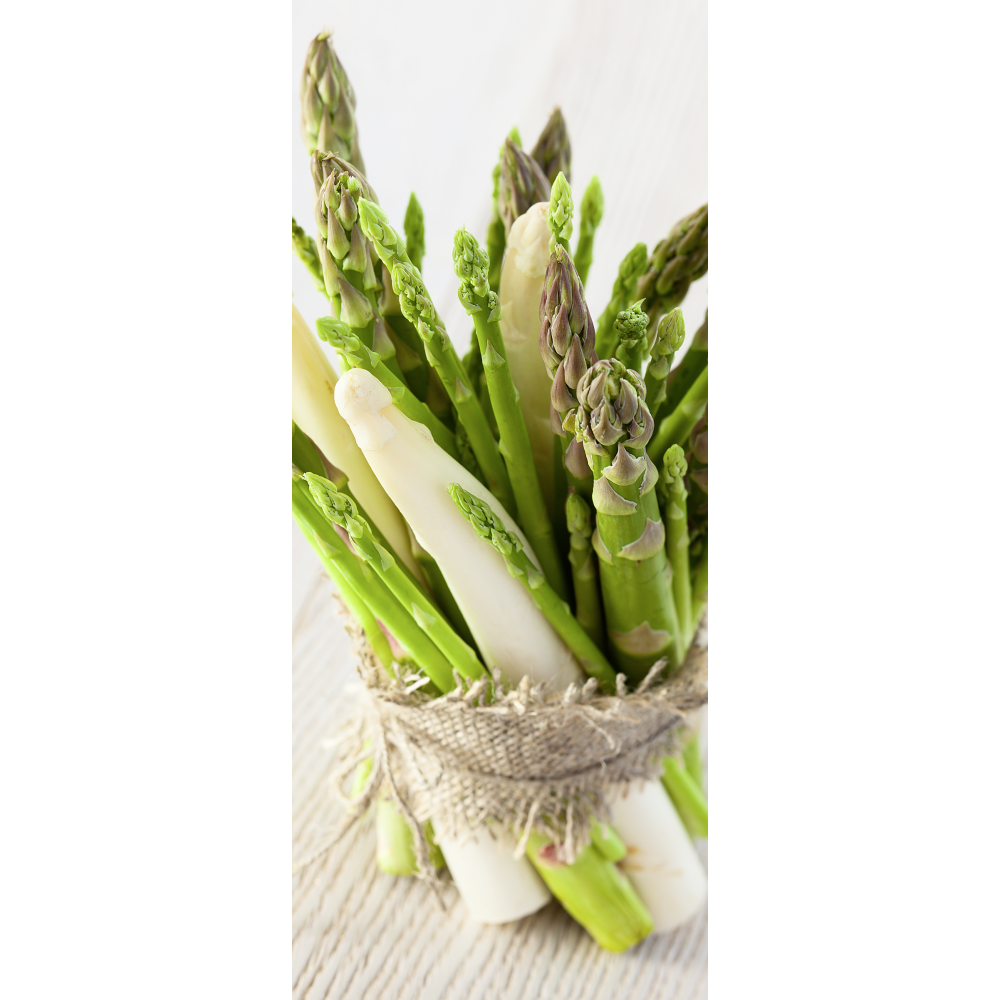 Banner Spargelbund, 75 x 180 cm