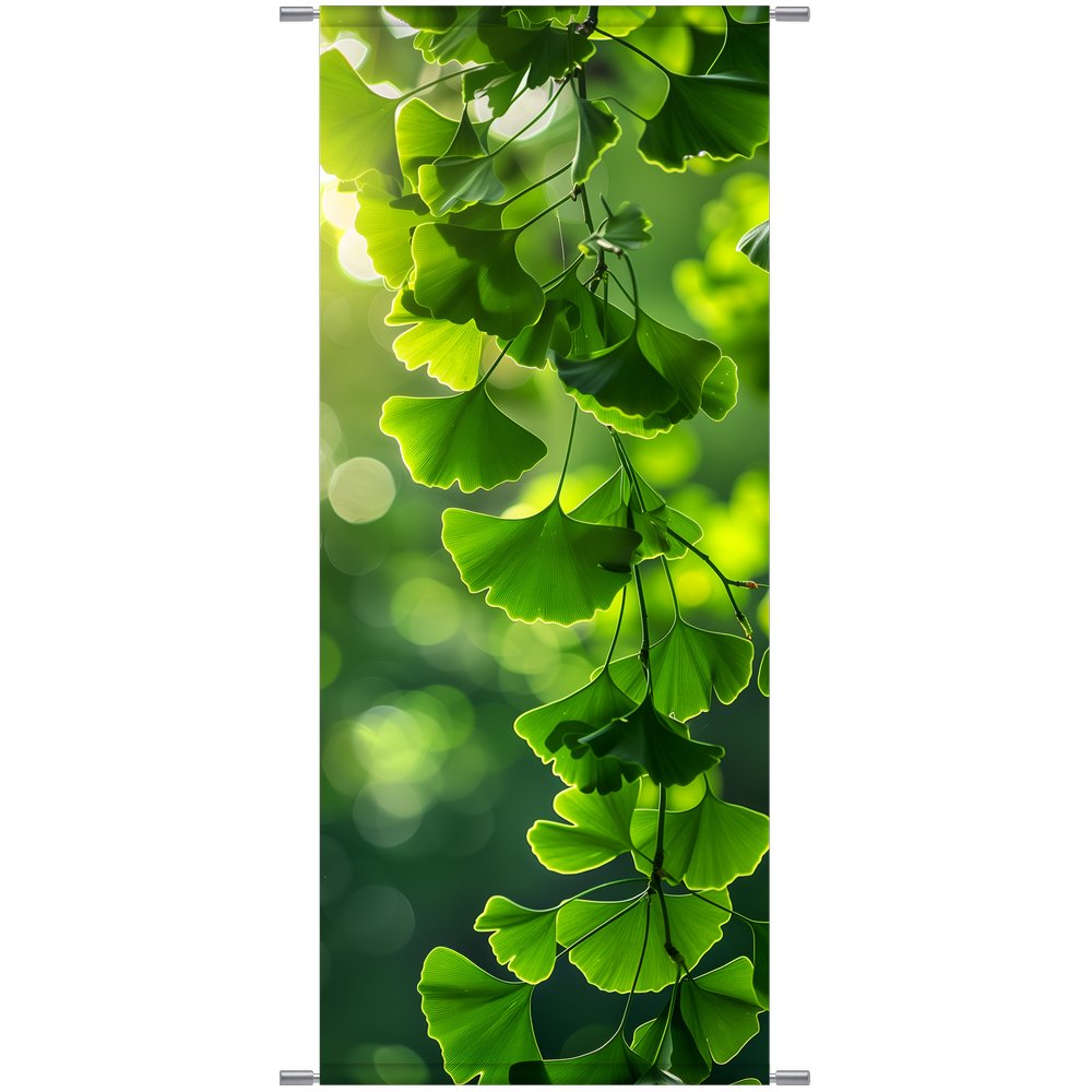 Banner Gingko Blätter grün,75 x 180 cm