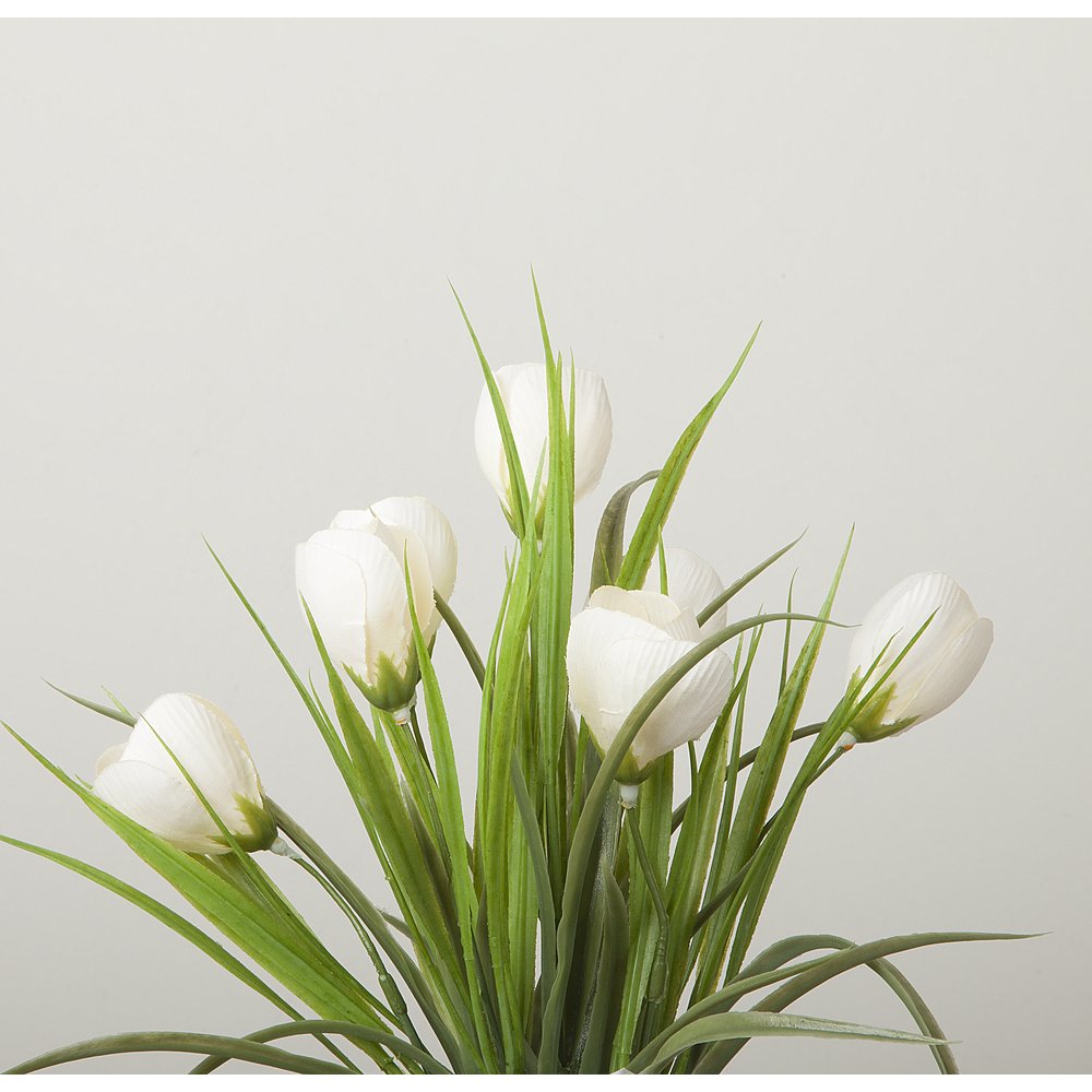 Krokus mit 7 Blüten grün/weiß, 38 cm, Ø 25 cm