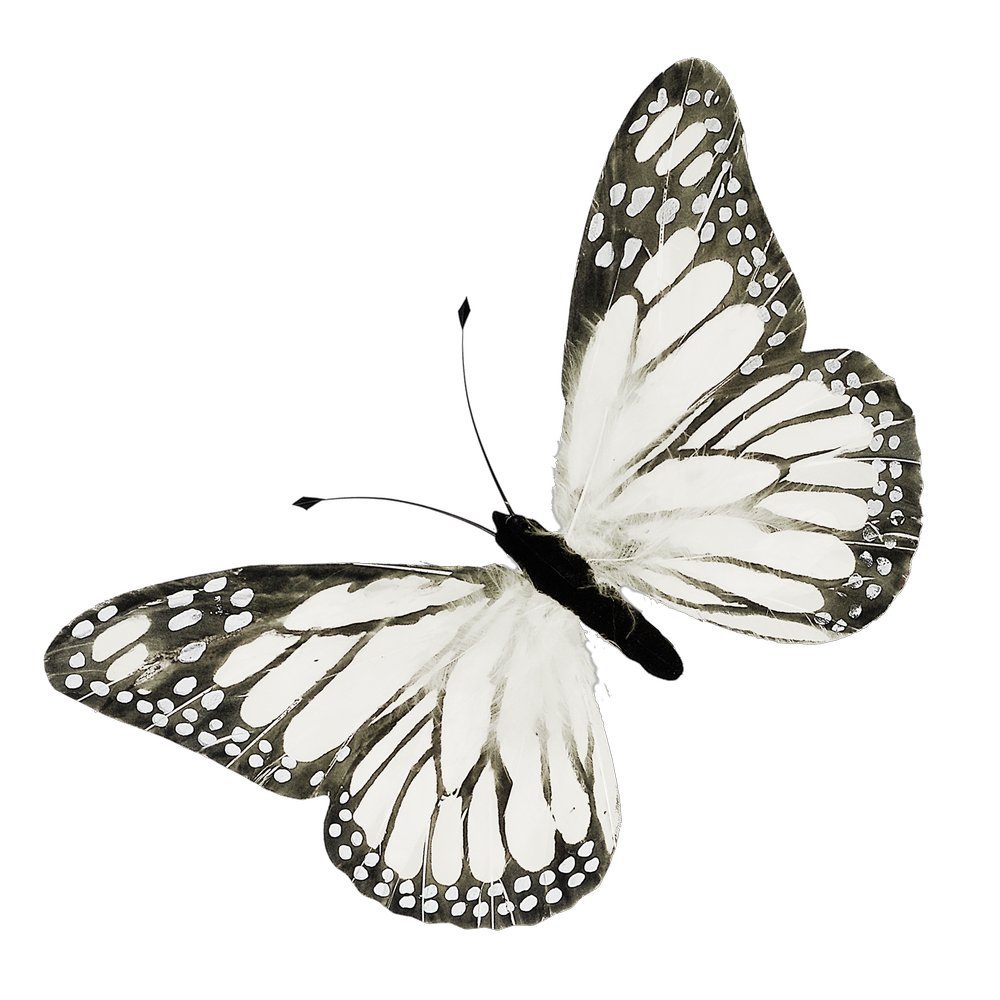 Schmetterling aus Federn weiß  B 30 cm, H 18 cm