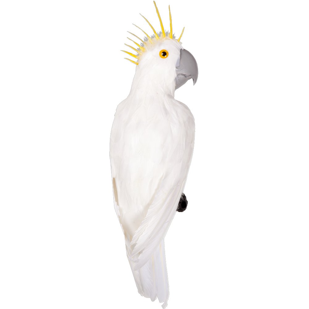 Kakadu Tierattrappe sitzend weiß, 50 cm