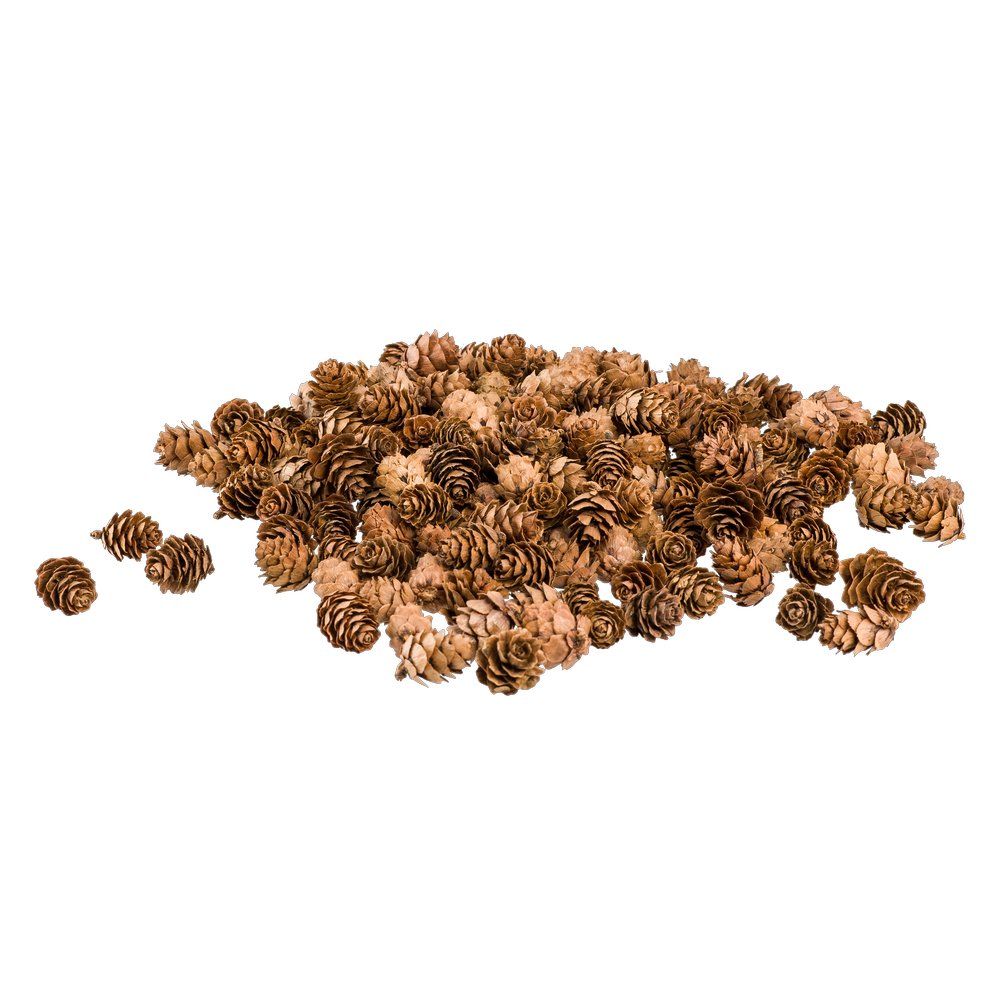Tannenzapfen Mini im Beutel, braun, ca. 150 Stück, 2-3 cm