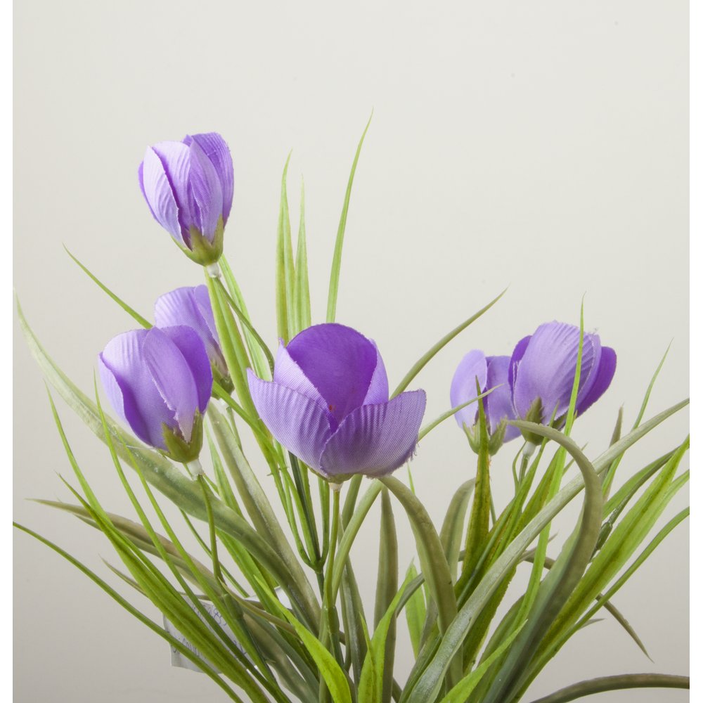 Krokus mit 7 Blüten grün/lila, 38 cm, Ø 25 cm