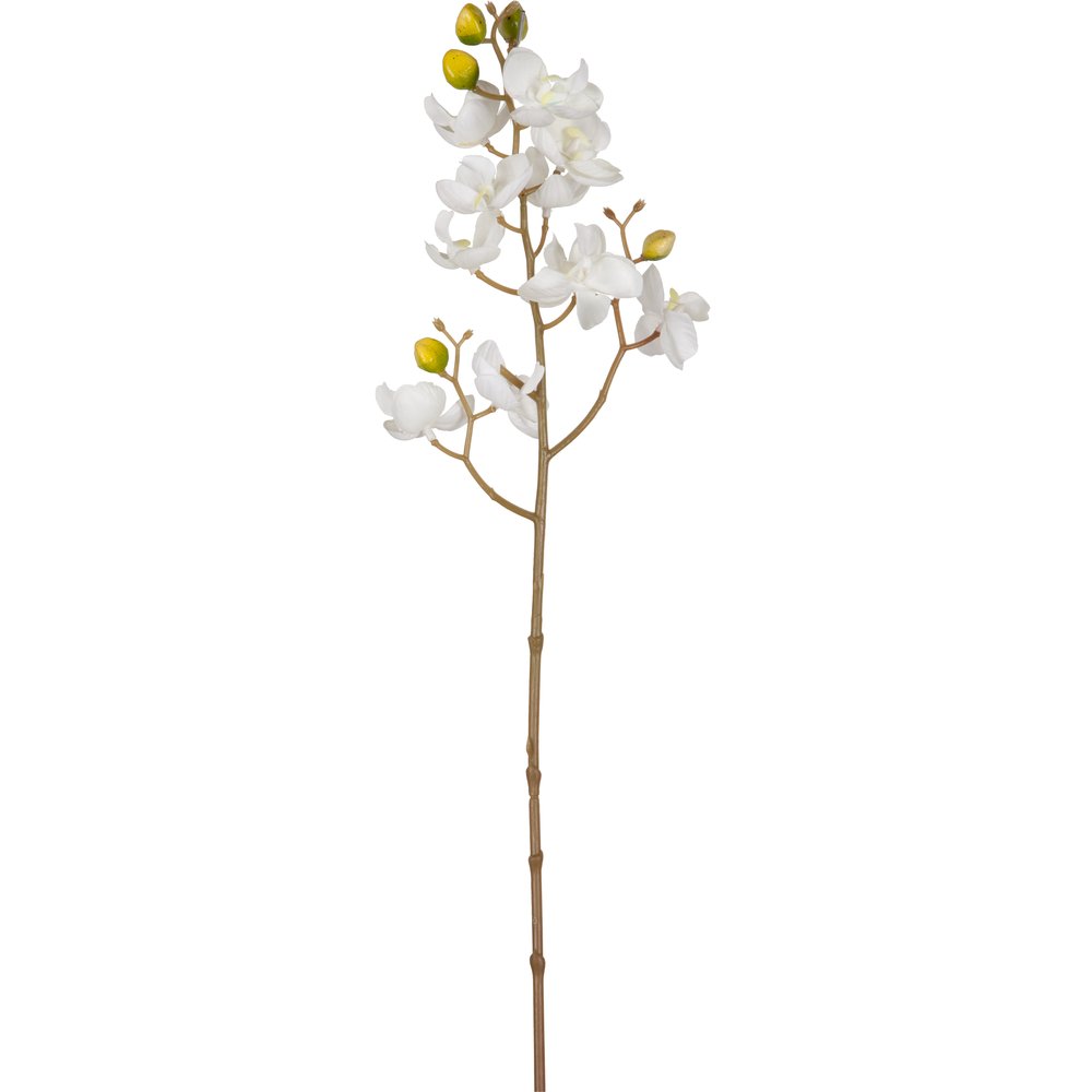 Orchideenzweig natural weiß, 14 x 48 cm