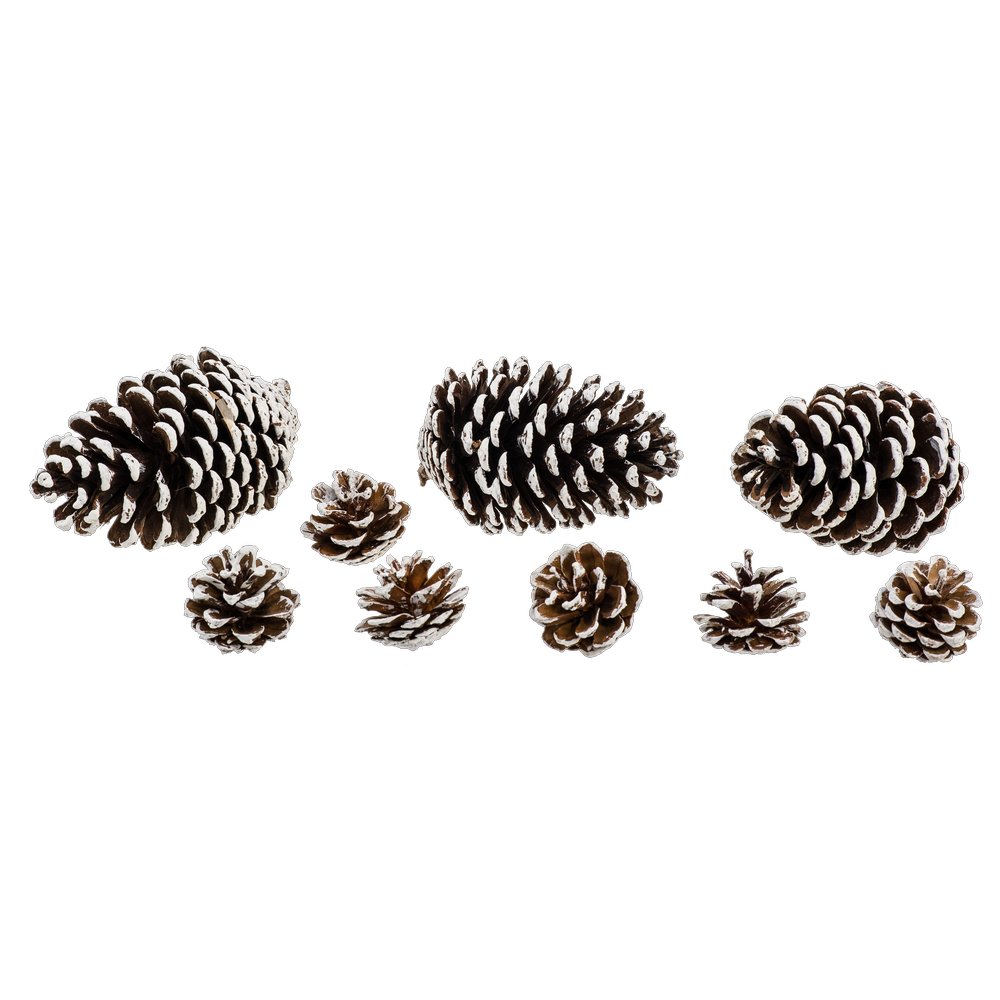 Tannenzapfen beschneit im Beutel, braun-weiß, 15 Stück, 4-13 cm