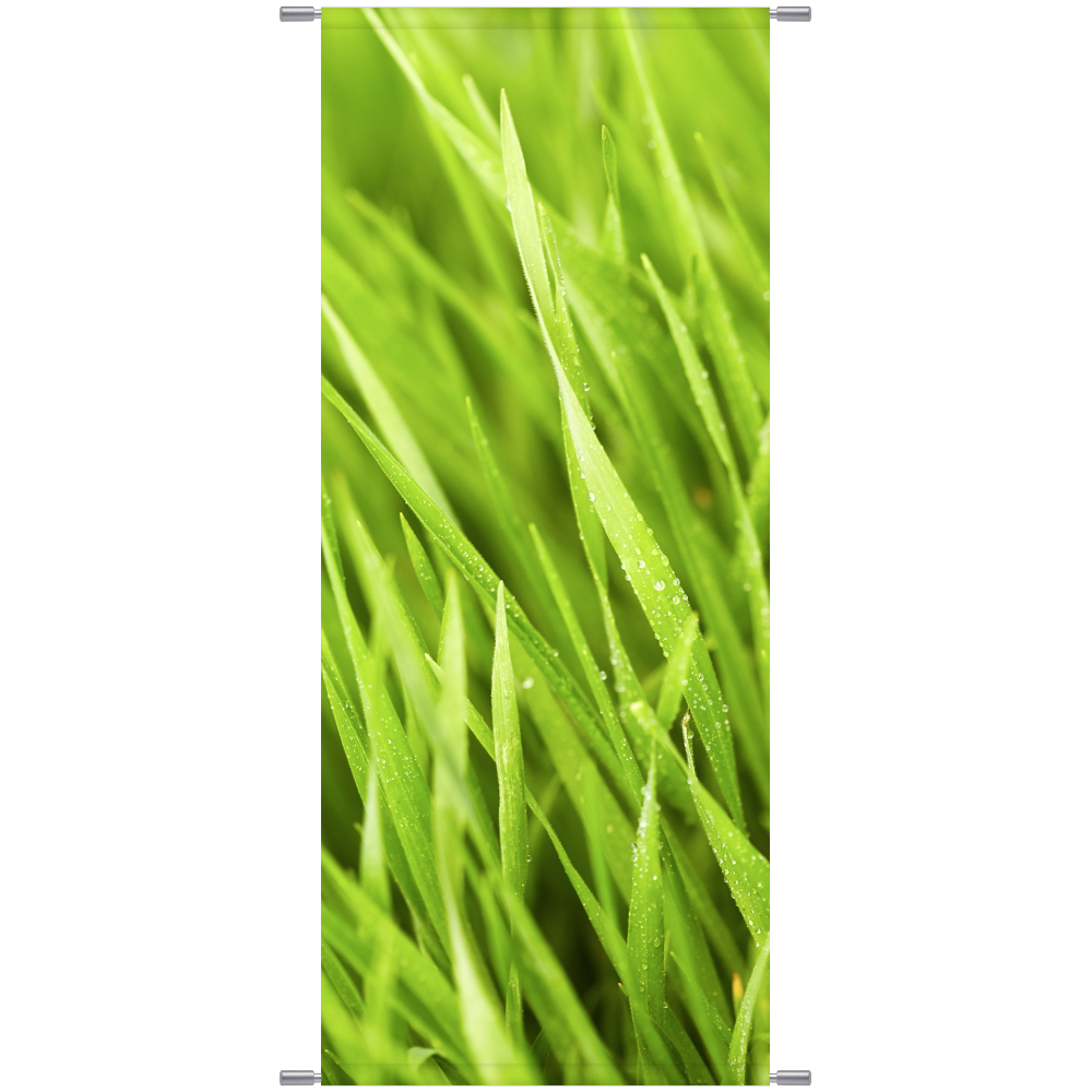 Banner Grashalme, 75 x 180 cm