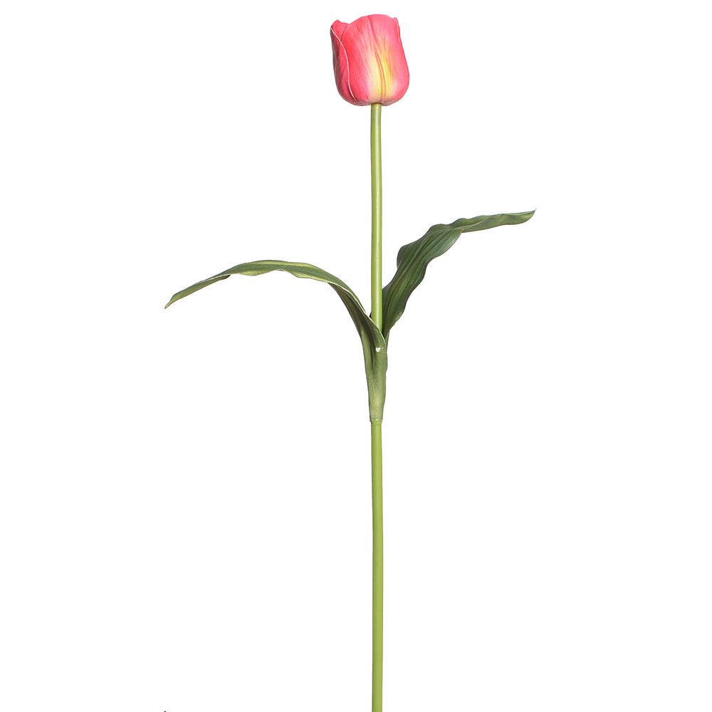 Tulpe natural pink, 67 cm