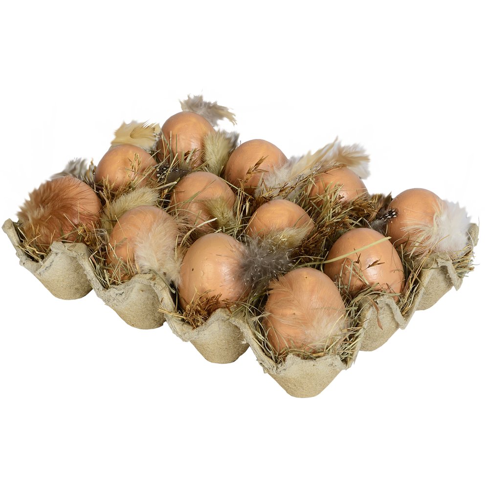 1 Dutzend Eier mit Federn und Gras im Eierkarton