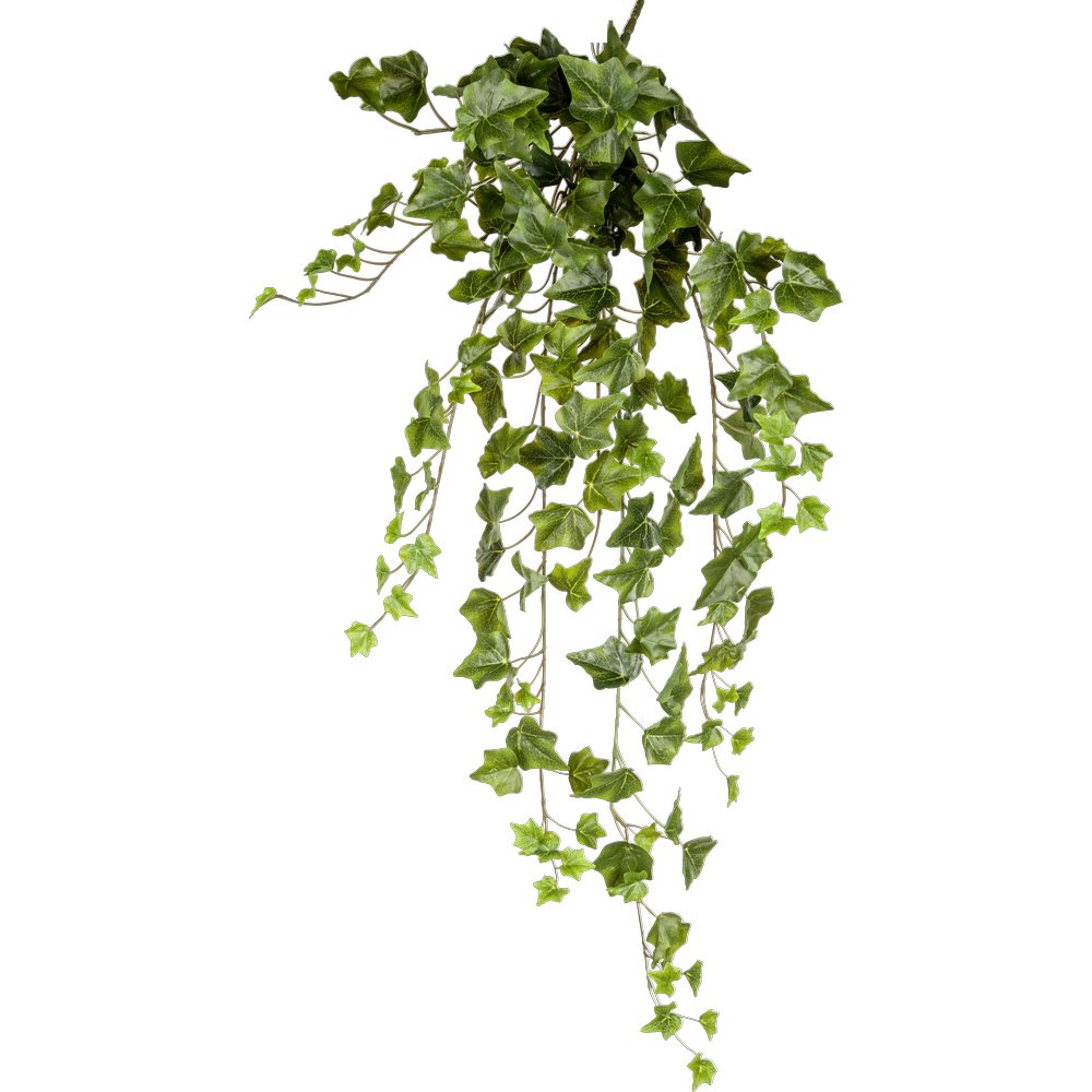Efeuhänger Waterproof grün, 85 cm