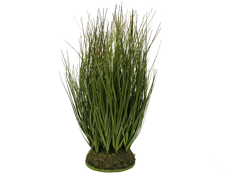 Grasbusch Festuca rund grün Ø 30 x H 40 cm