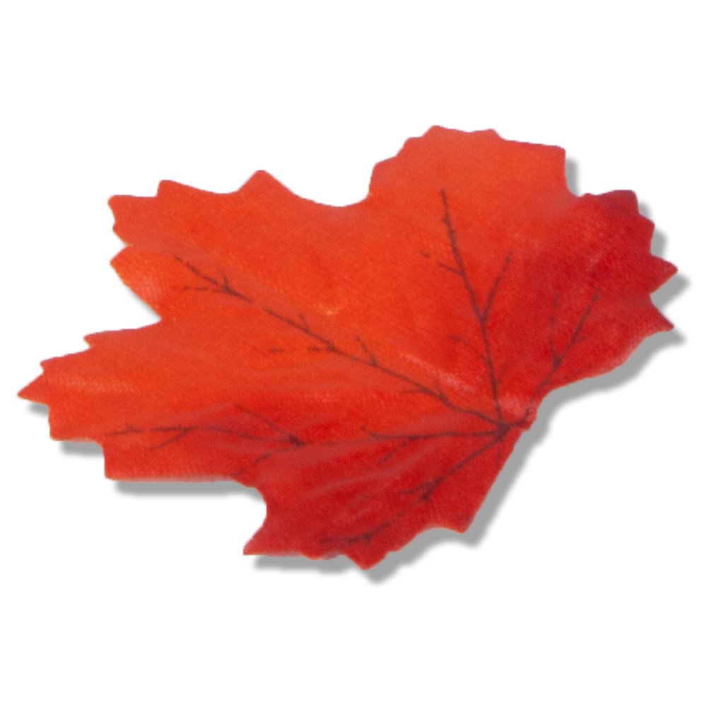 Ahornblätter ohne Stiel herbstbunt, 48 Stück, 5-9 cm