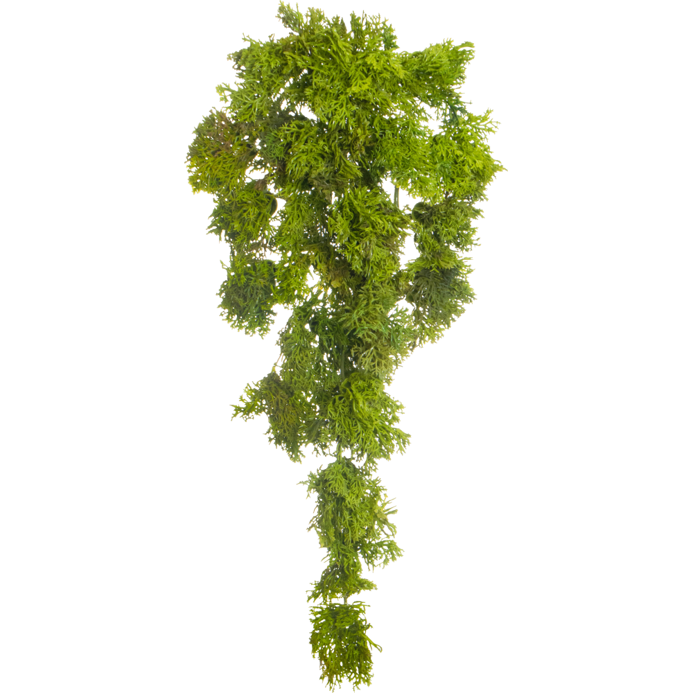 Mooshänger Reindeer B1 grün 35 cm