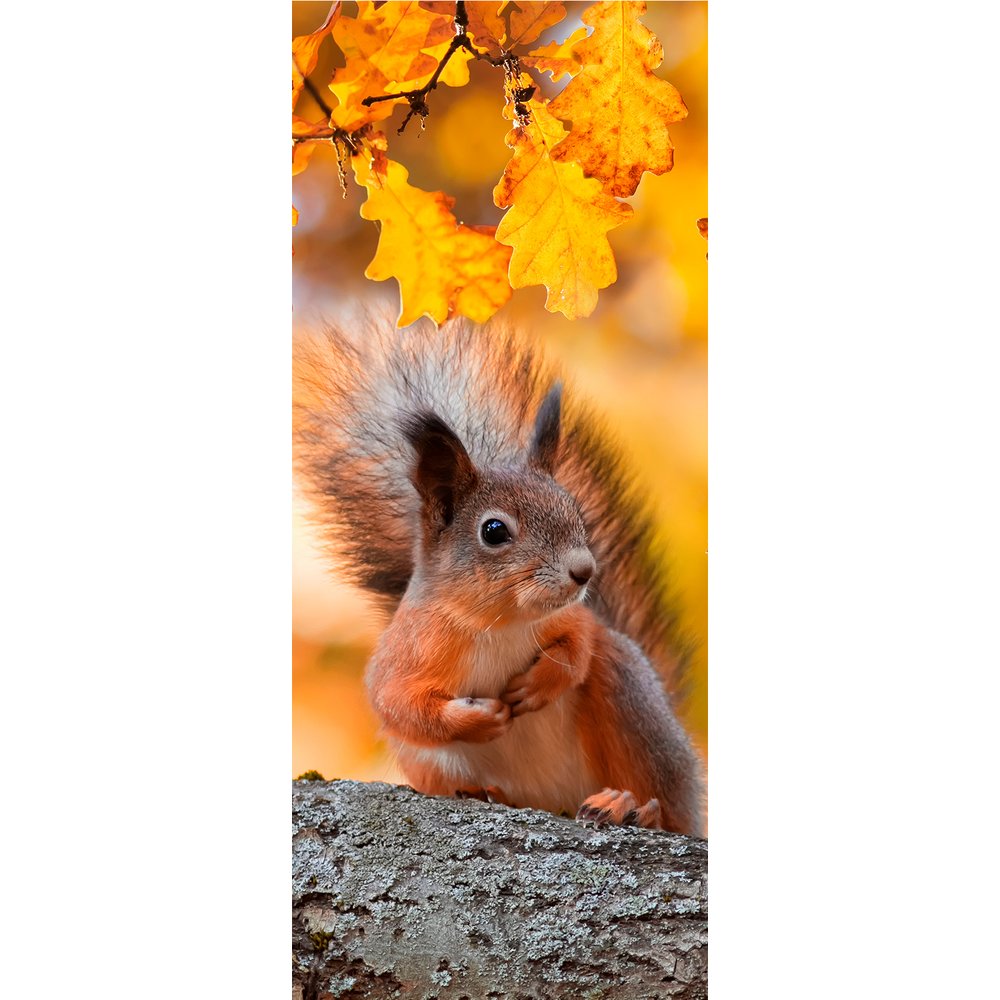 Banner Eichhörnchen, 75 x 180 cm