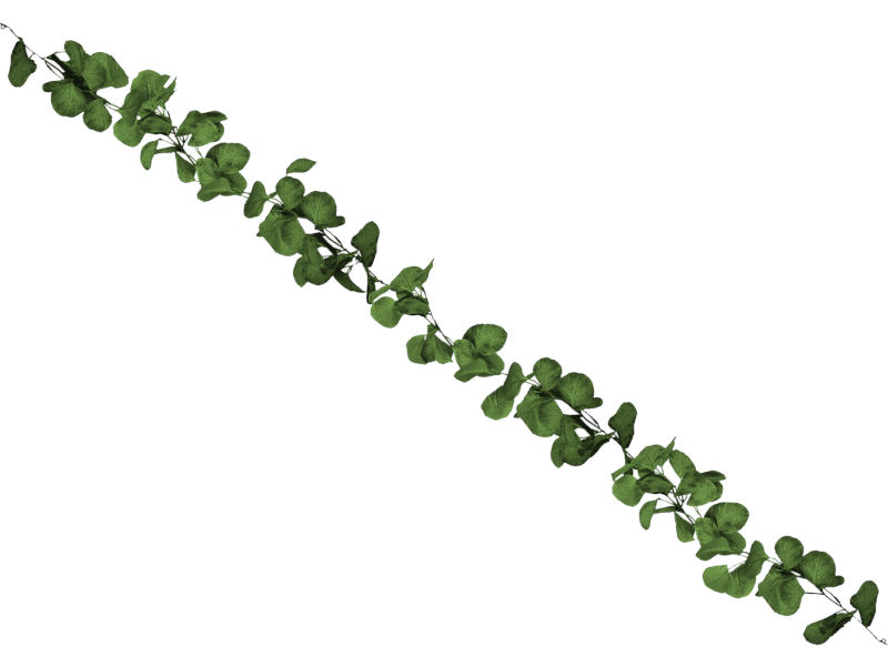 Eucalyptus Girlande grün 180 cm