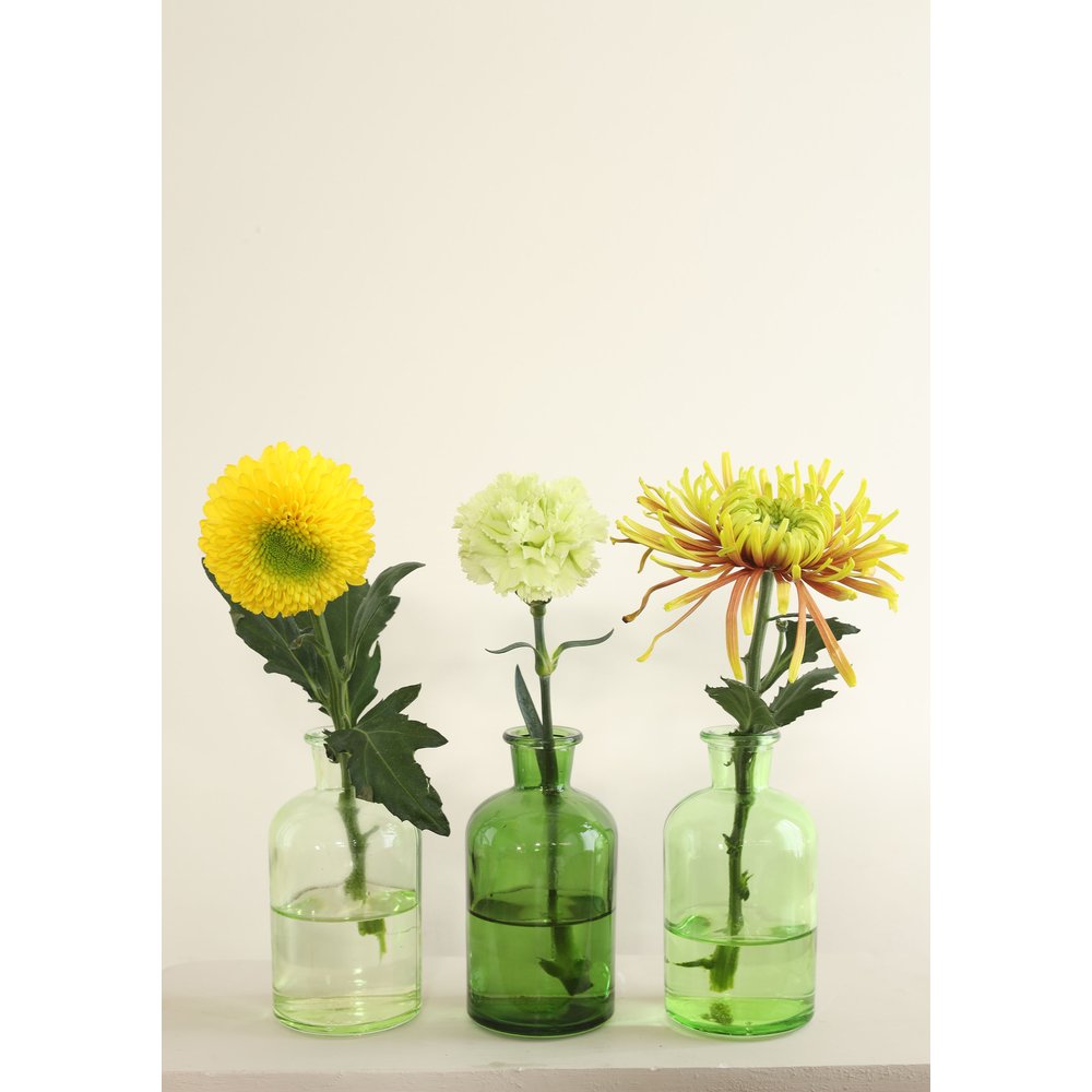 Glasflasche Riga 3er Set grün-mix,Ø7 x H12 cm