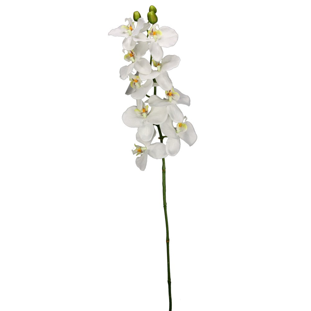 Orchidee Batida weiß, 103 cm