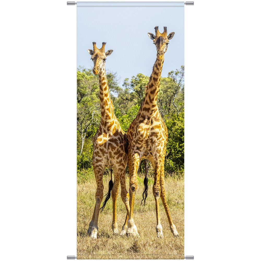 Banner Giraffen, 75 x 180 cm