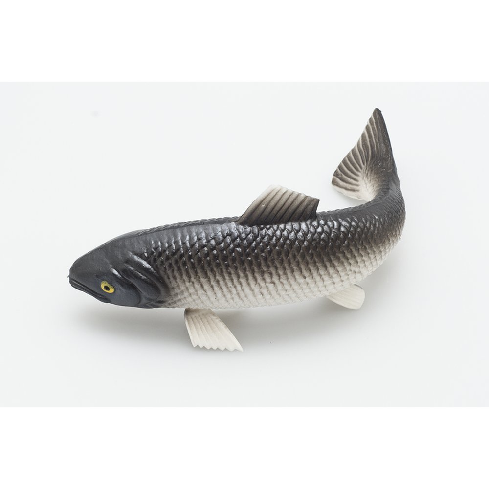 Forelle gebogen, 19 x 12 x 9 cm