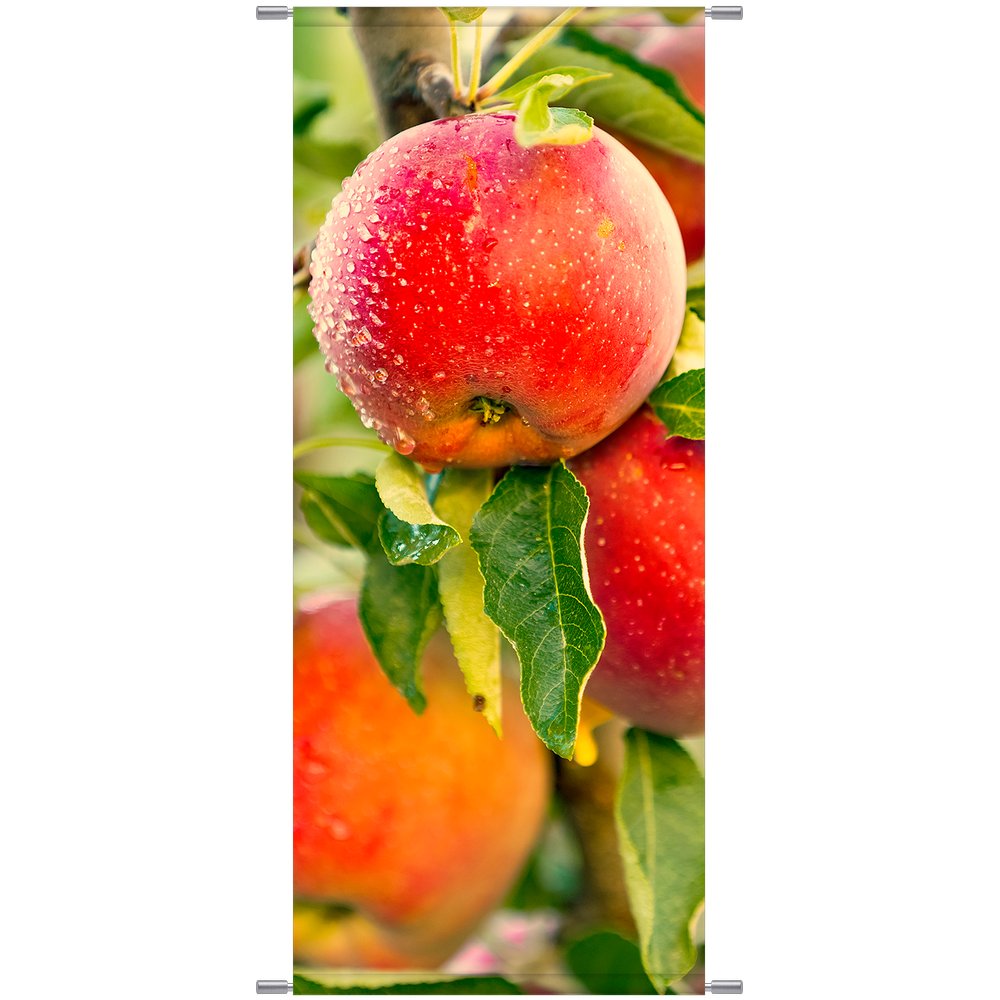 Banner Äpfel, 75 x 180 cm
