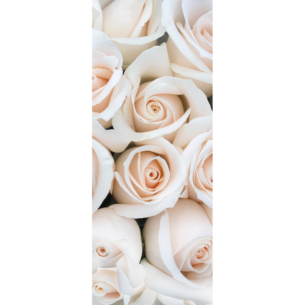 Banner Rosalia (Weiße Rose), 75 x 180 cm