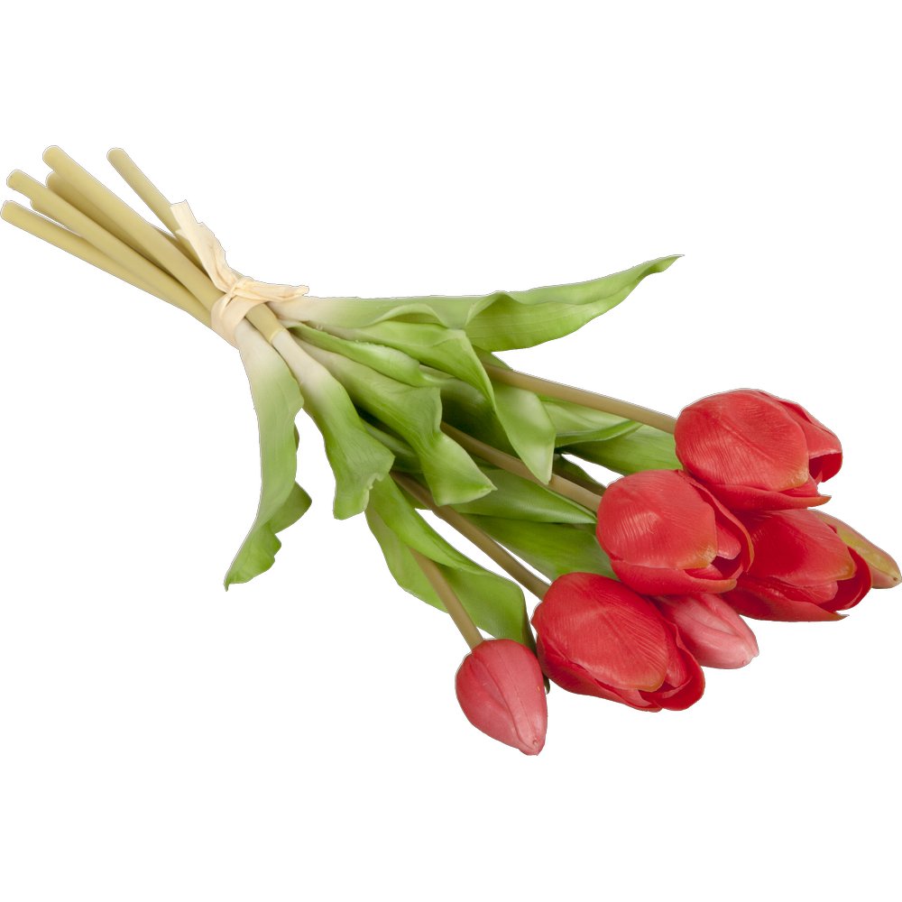 Tulpenstrauß x7 hochwertig rot, Ø 20 x H 38 cm