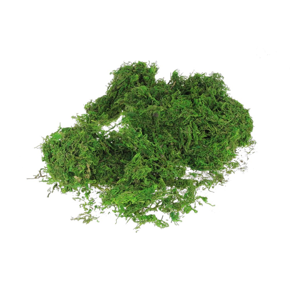 Moos getrocknet im 50g Beutel grün, 50 g
