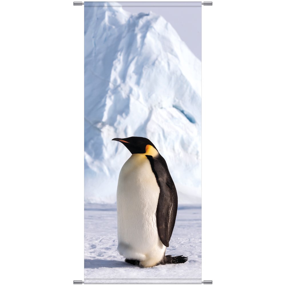 Banner Pinguin, 75 x 180 cm