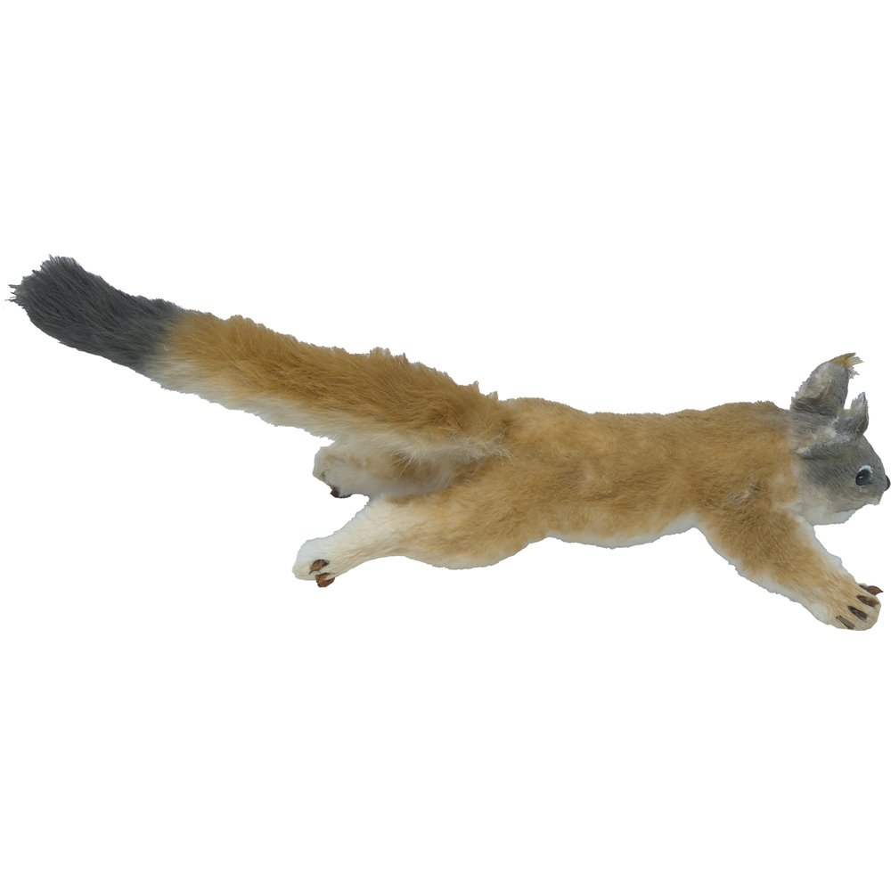 Eichhörnchen Skip kletternd natur,L50x15x12 cm