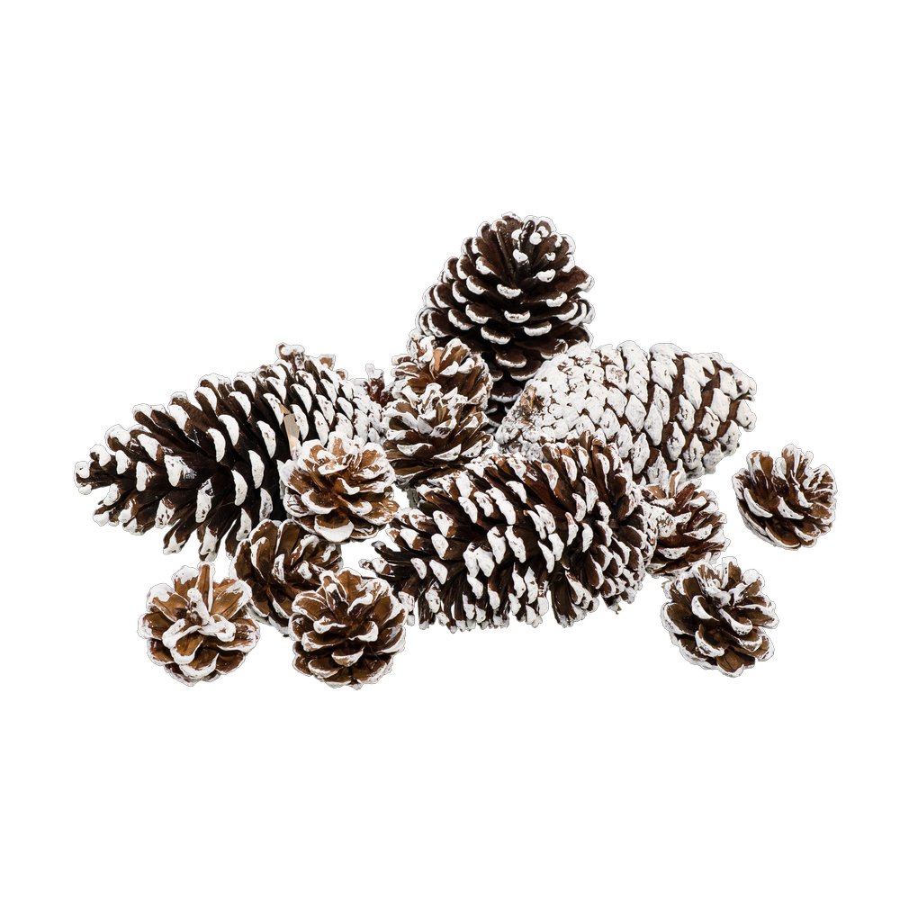 Tannenzapfen beschneit im Beutel, braun-weiß, 15 Stück, 4-13 cm