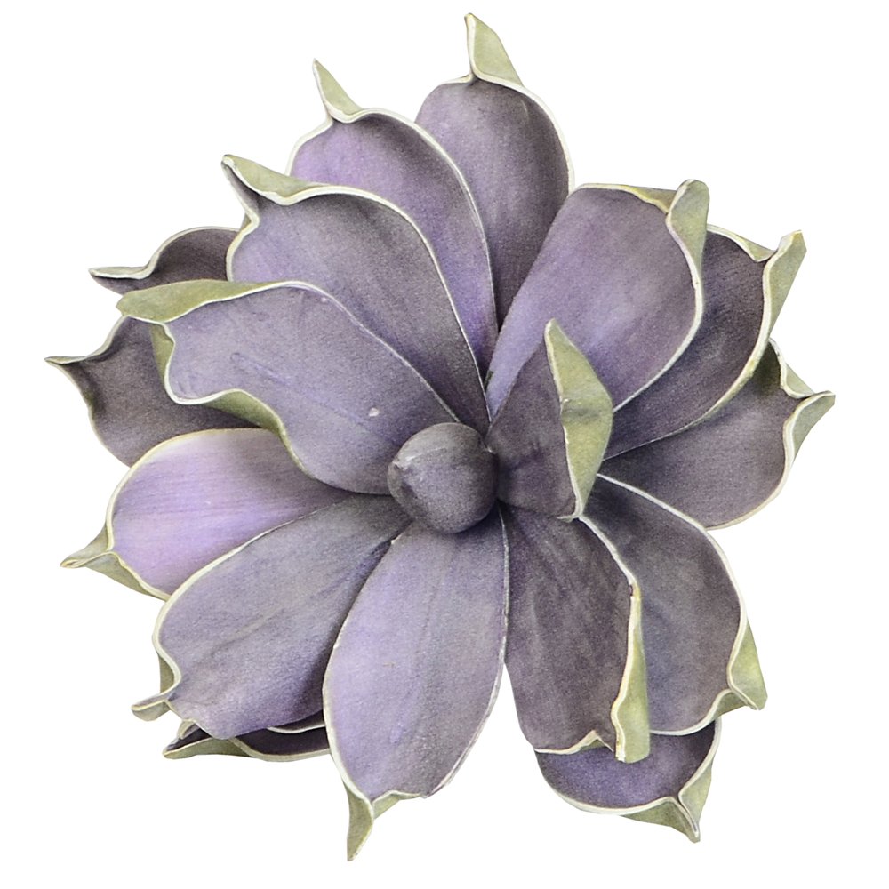 Magnolie Foam lila-grün, 25 cm, Blüte Ø 18 cm