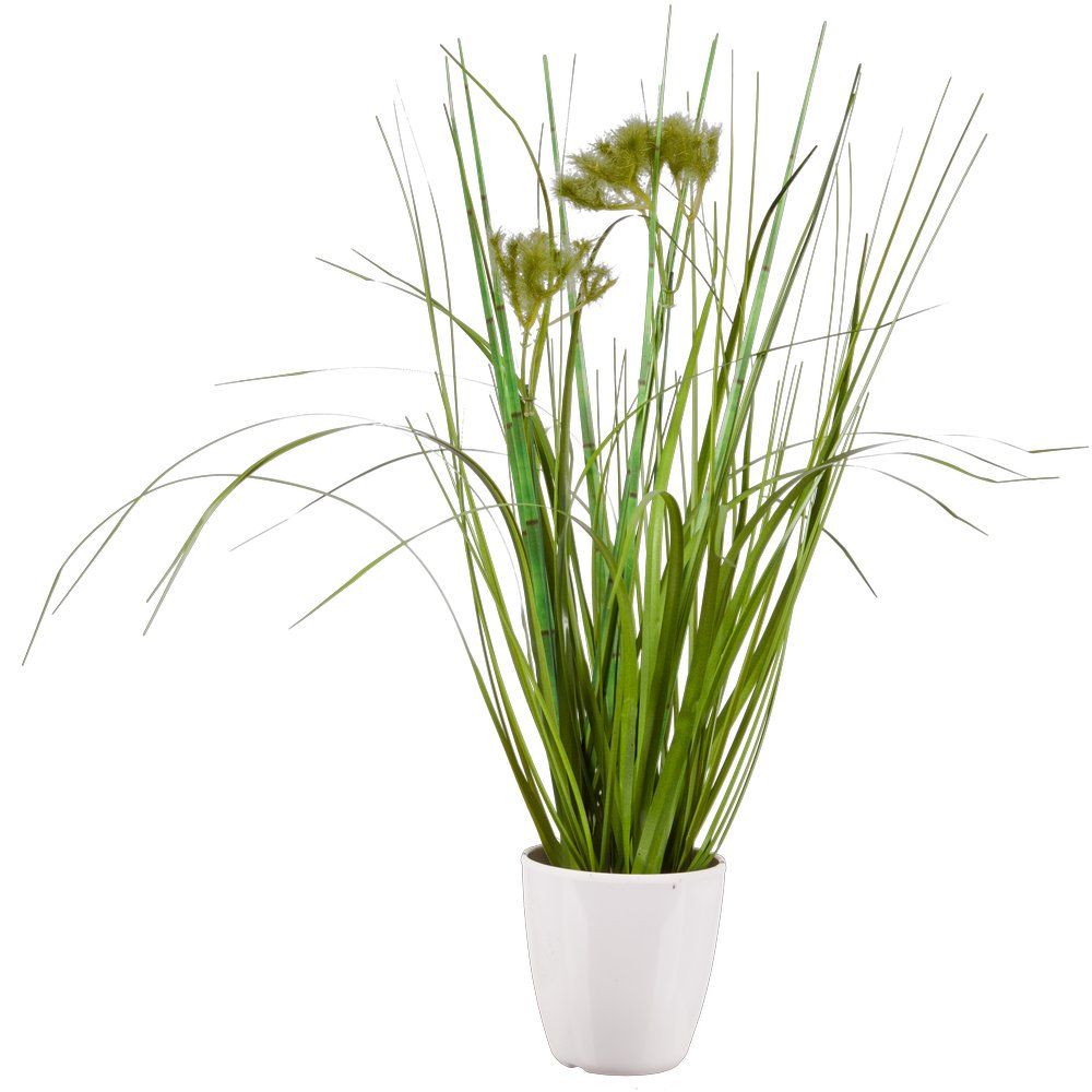 Grasbuschsortiment getopft, 36 cm