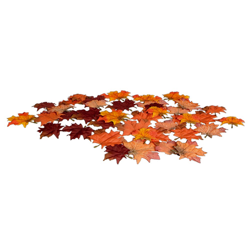 Ahornstreulaub rot-orange, 48 Stück, 7-10 cm