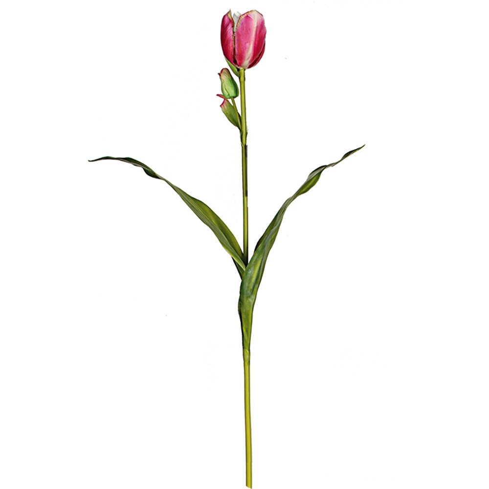 Tulpe Deluxe pink, 60 cm