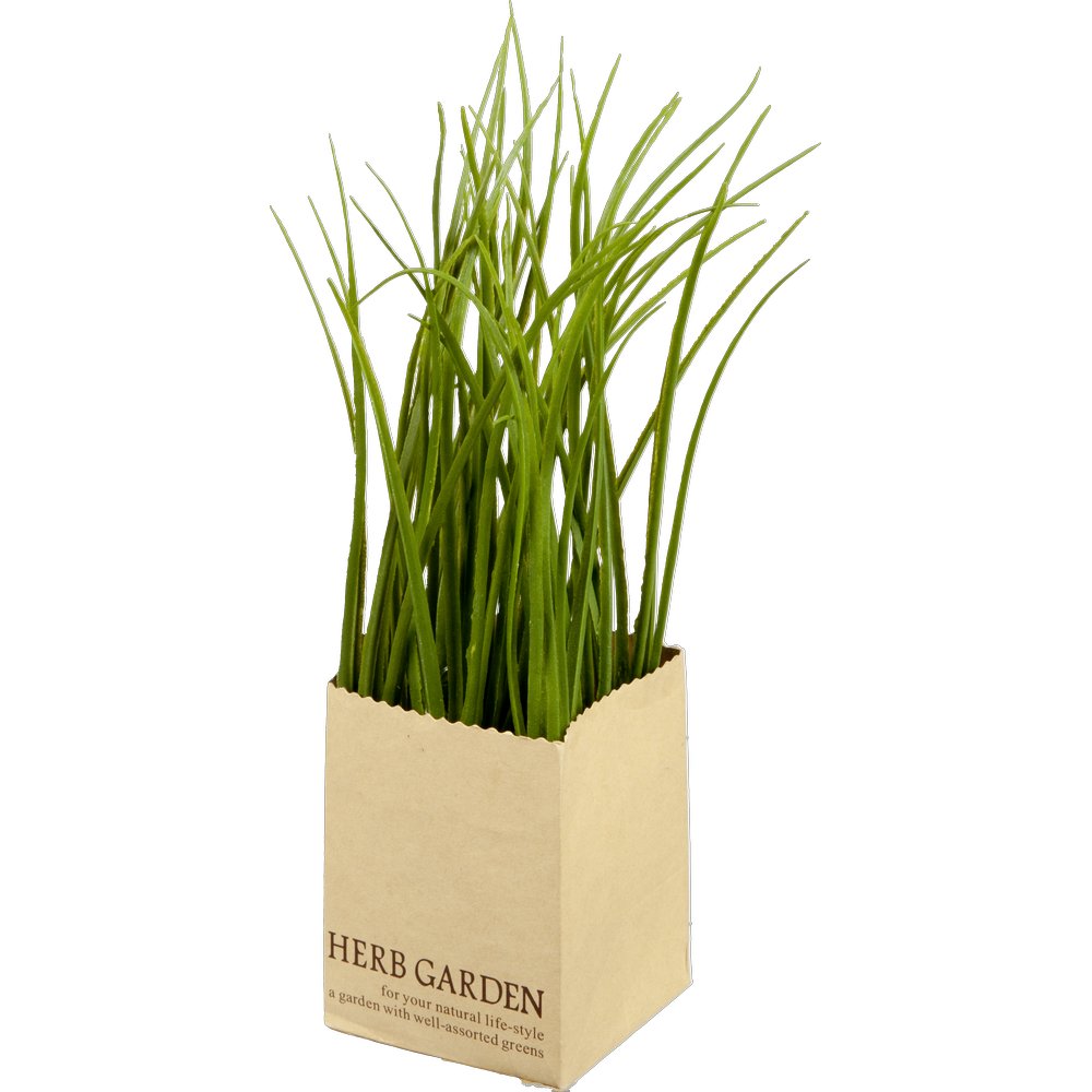 Schnittlauch in Paperbag, 24 cm