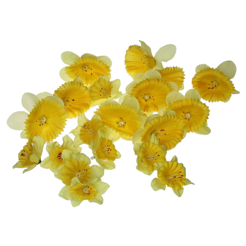 Osterglockenblüten 20 Stück gelb, Ø 6/9 cm