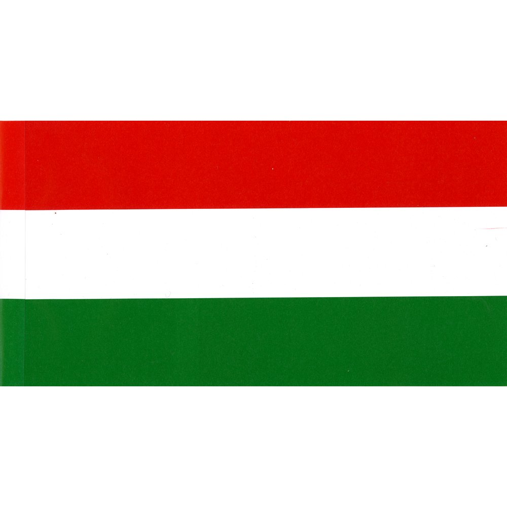 Flaggenkette Euro 24-Nationen  bunt, L 7,50 m