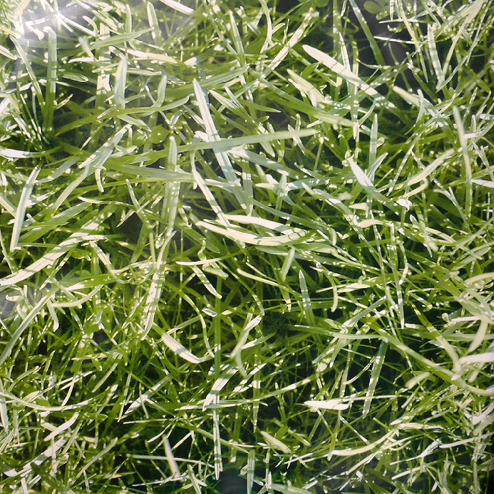 Motivdruck-Folie Highlands (Gras), 135 cm breit