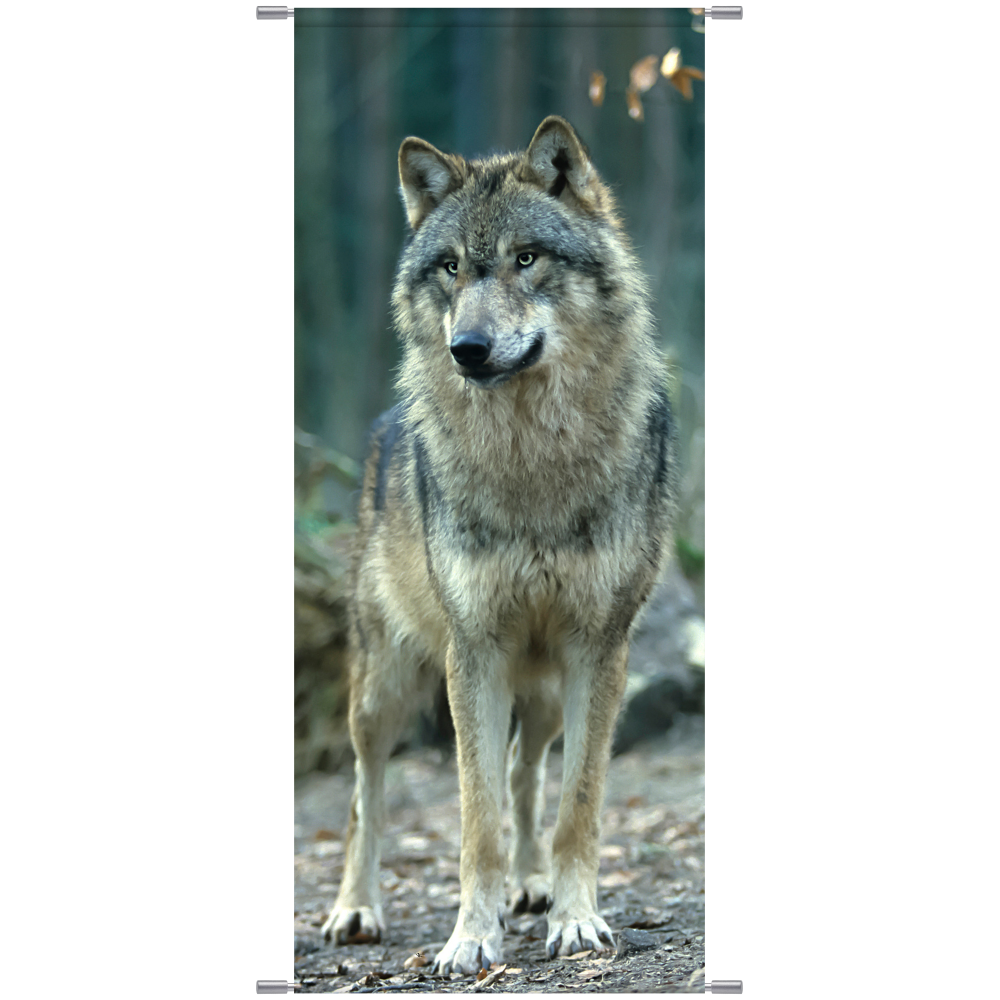 Banner Wolf natur,75 x 180 cm
