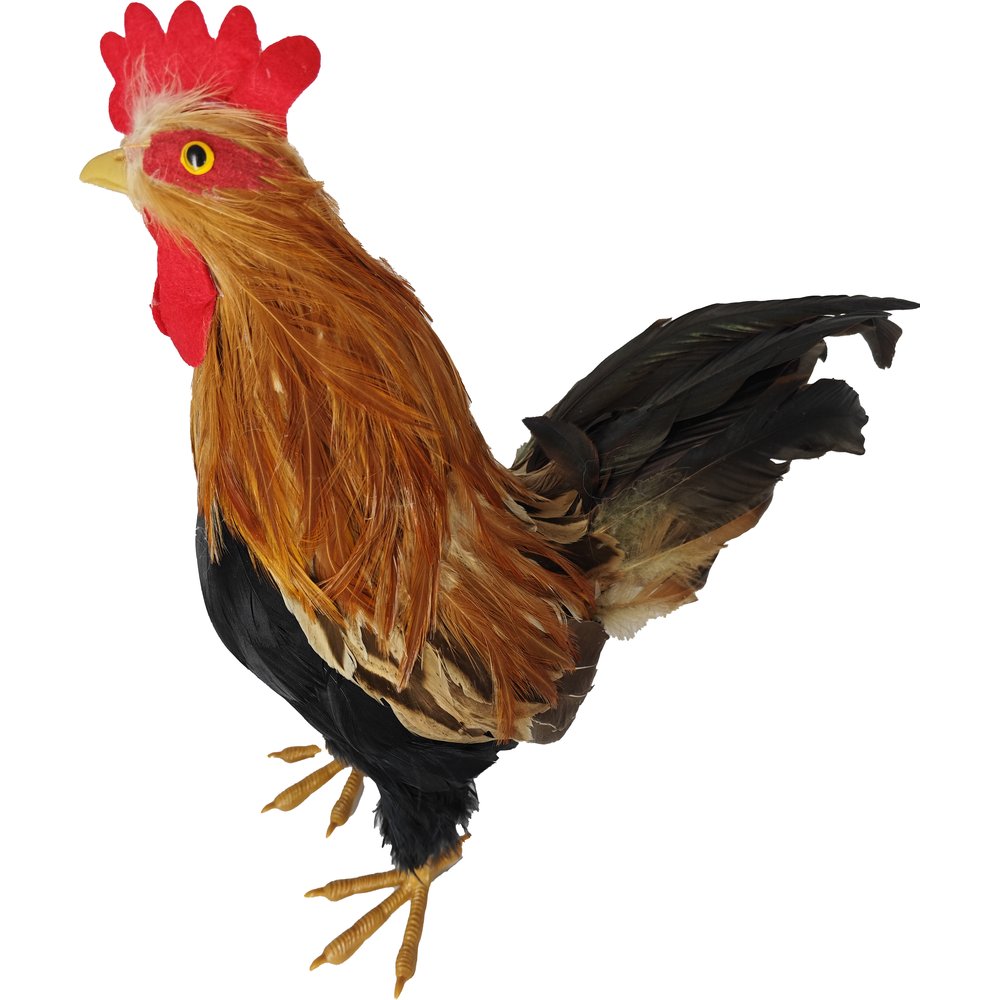 Hahn Natural natur/bunt,H 36 cm