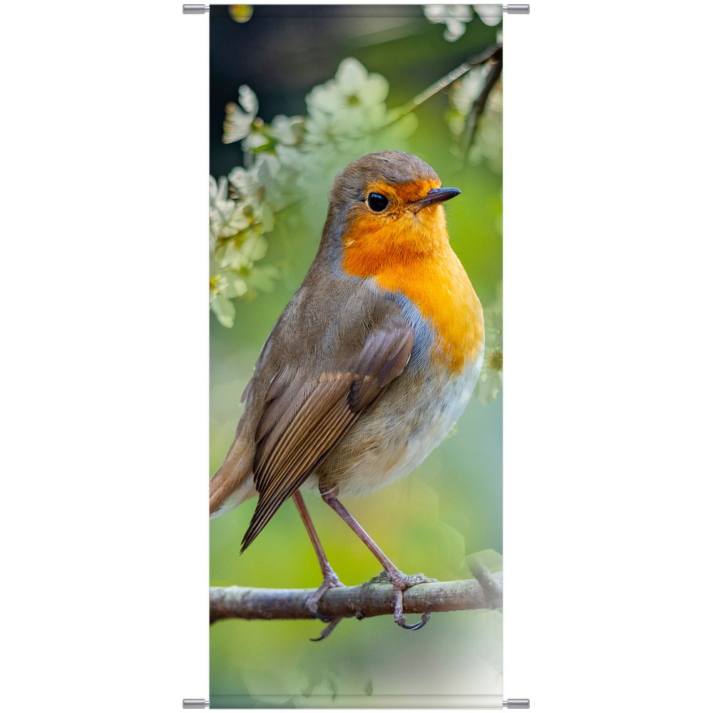 Banner Vogel Red Robin bunt, 75 x 180 cm