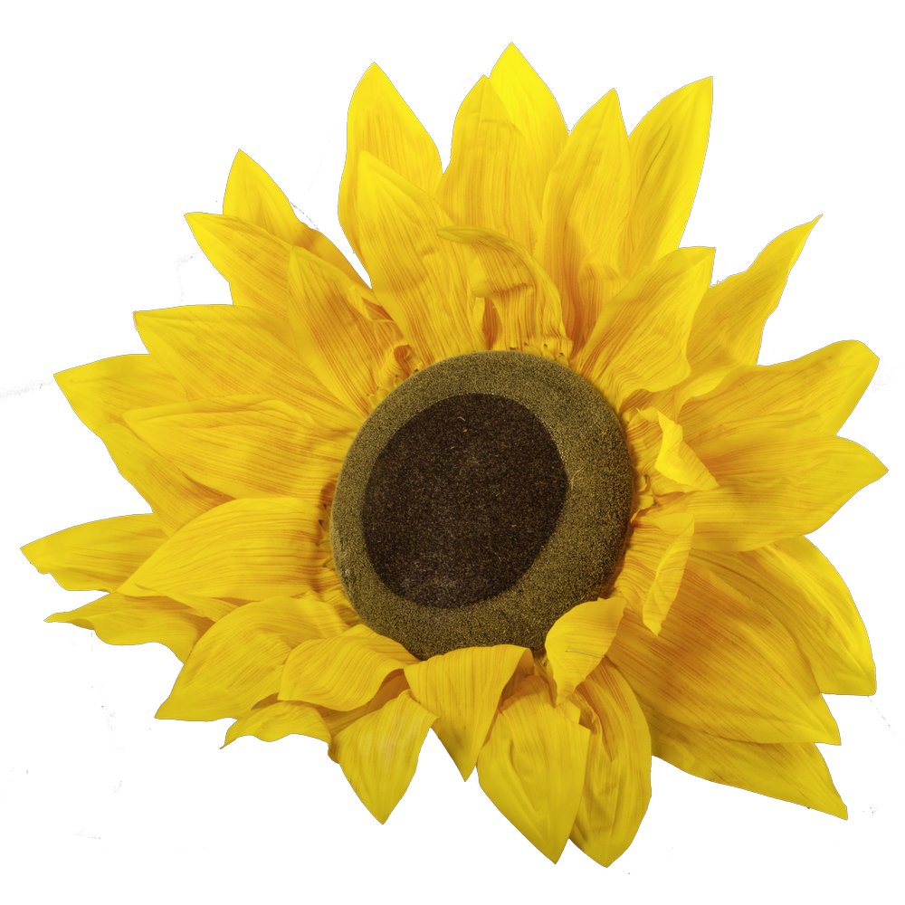 Sonnenblumenkopf M8, Ø 50 cm