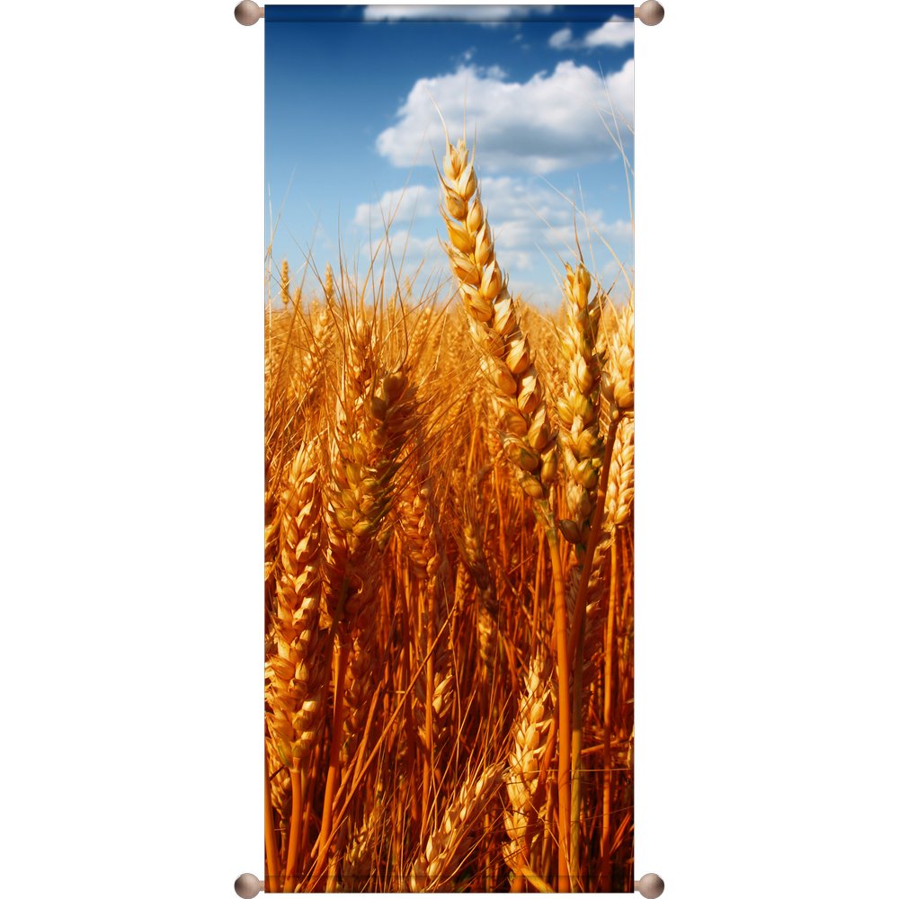 Banner Ährenfeld, 75 x 180 cm