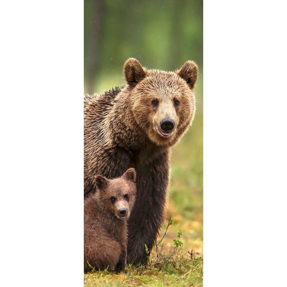 Banner Bär mit Kind natur, 75 x 180 cm