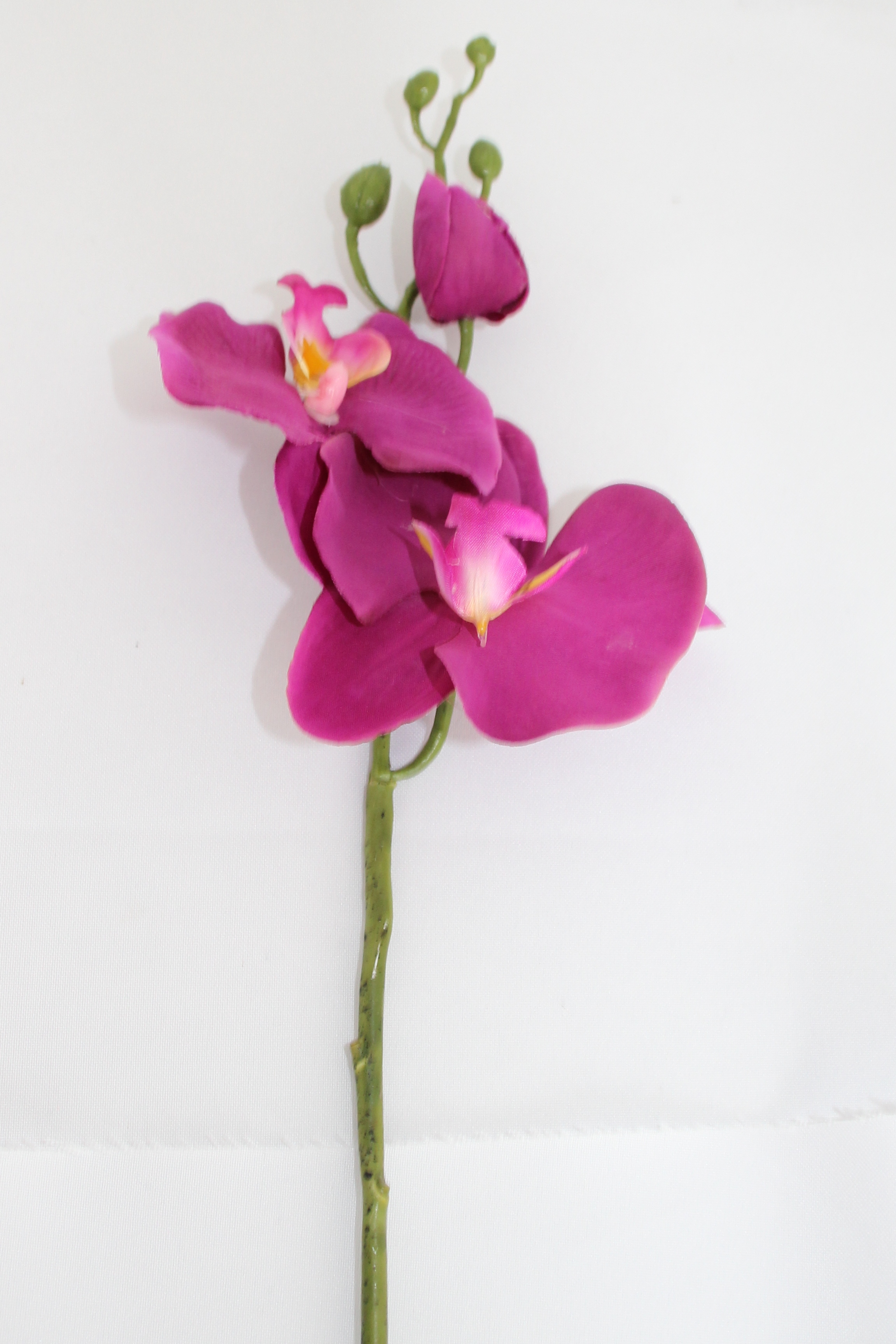 Orchidee lila, 61 cm