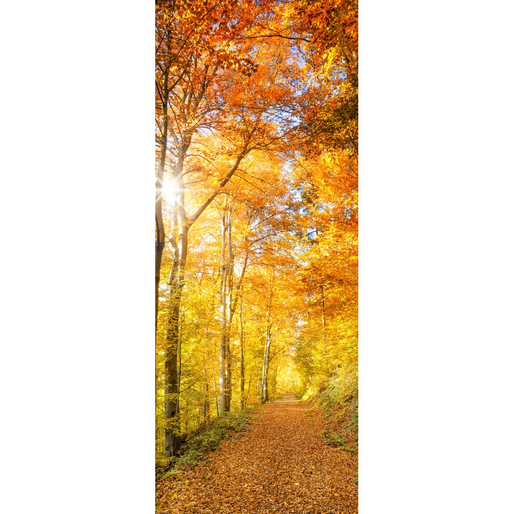 Banner Herbstwald, 75 x 180 cm