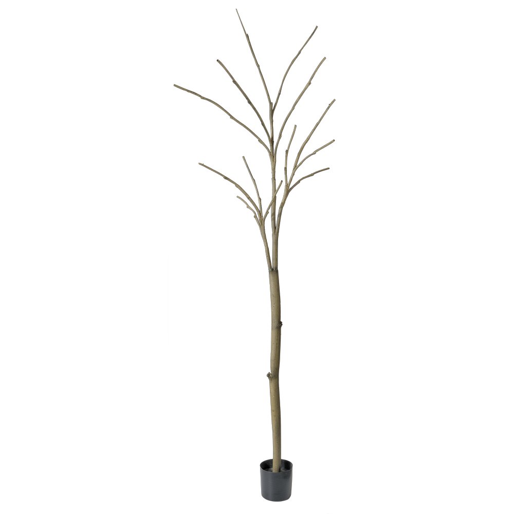 Baum Leafless/Kahl getopft, 250 cm