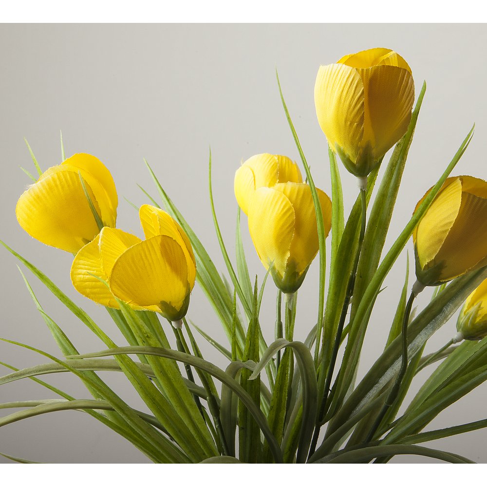 Krokus mit 7 Blüten grün/gelb, 38 cm, Ø 25 cm