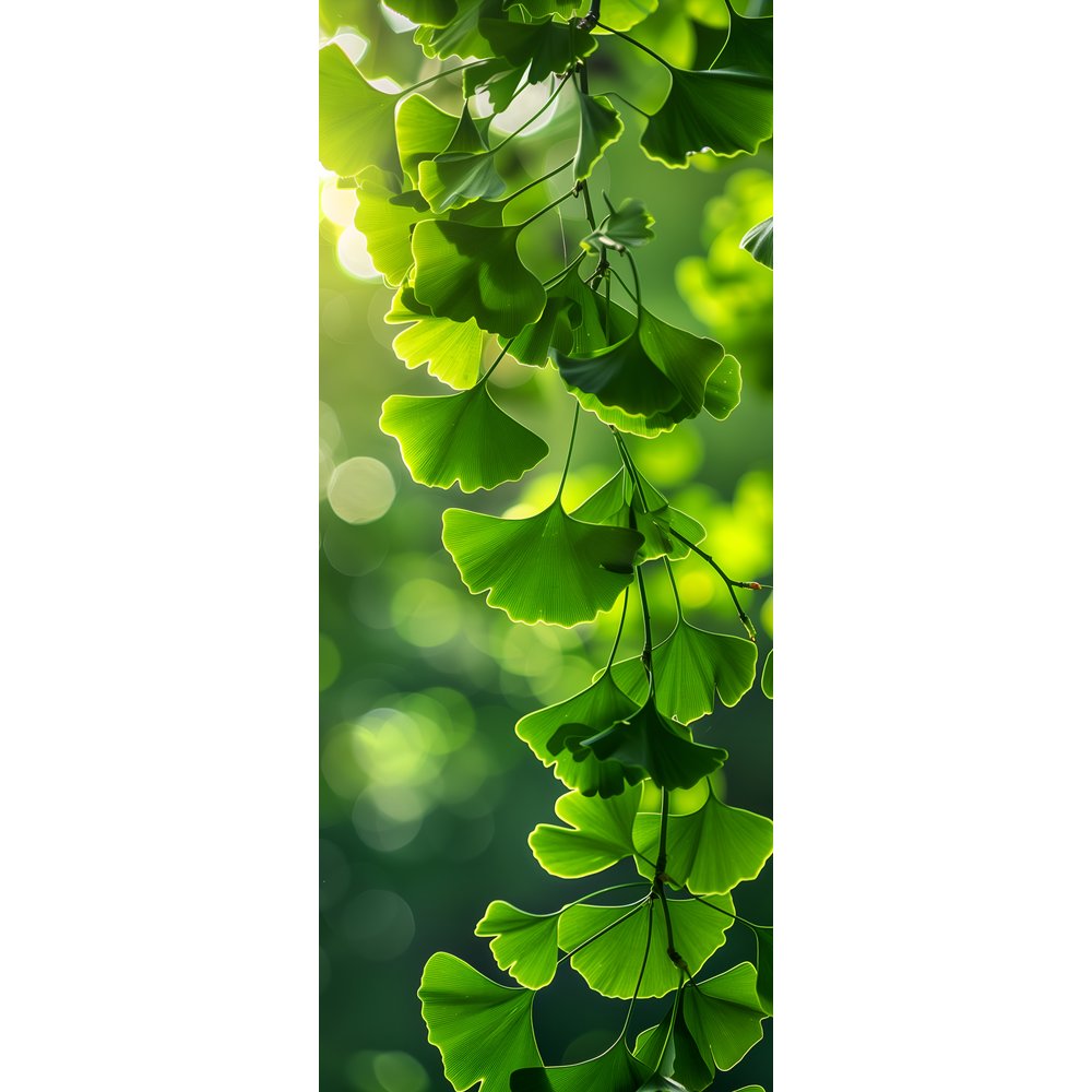 Banner Gingko Blätter grün,75 x 180 cm