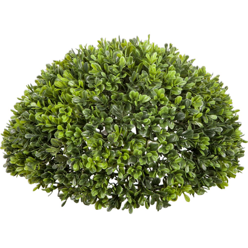 Buchs Halbkugel grün, Ø 32 cm, H 16 cm